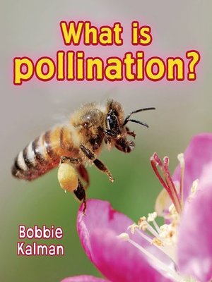 cover image of What is Pollination?